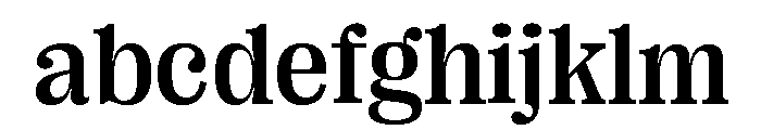 Right Serif Casual Variable 4 FONT