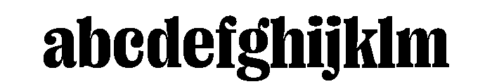 Right Serif Compact Variable 6 FONT
