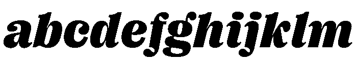 Right Serif Italic Variable 7 FONT