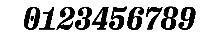 Right Serif Mono Italic Variable 6 Font OTHER CHARS