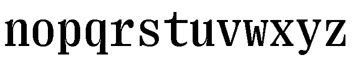 Right Serif Mono Variable 4 Font LOWERCASE