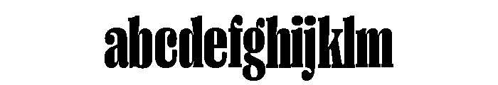 Right Serif Variable 14 FONT