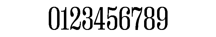 Right Serif Variable 17 Font OTHER CHARS