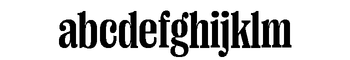 Right Serif Variable 19 FONT