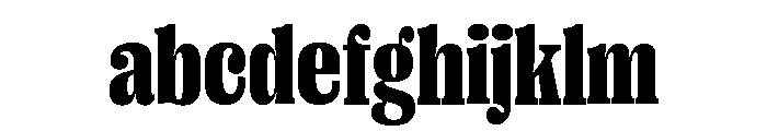 Right Serif Variable 21 FONT