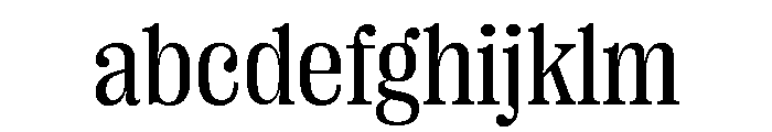 Right Serif Variable 24 FONT