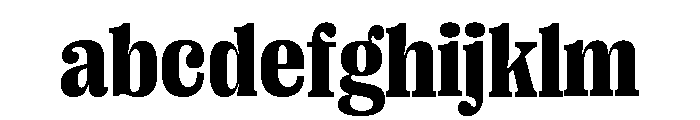 Right Serif Variable 27 FONT