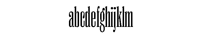 Right Serif Variable 2 FONT
