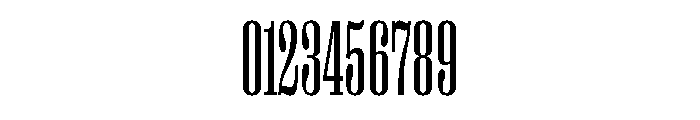 Right Serif Variable 3 Font OTHER CHARS