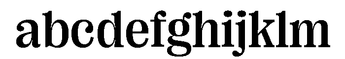 Right Serif Variable 32 FONT