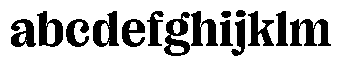 Right Serif Variable 33 FONT
