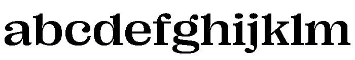Right Serif Variable 39 FONT