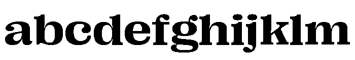 Right Serif Variable 40 FONT