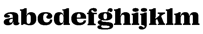 Right Serif Variable 41 FONT