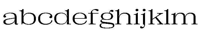 Right Serif Variable 44 FONT
