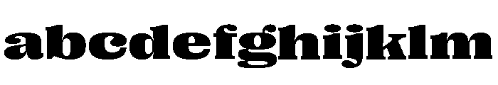 Right Serif Variable 49 FONT