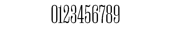 Right Serif Variable 8 Font OTHER CHARS
