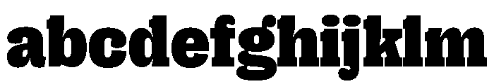 Right Slab Casual Variable 7 FONT