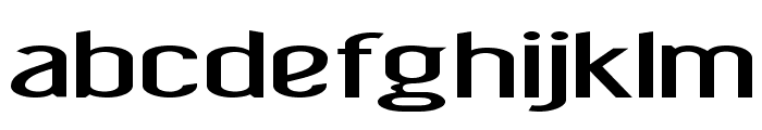 Riga-ExtraexpandedBold Font LOWERCASE