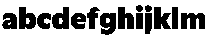 Rl Aqva Extra Bold FONT