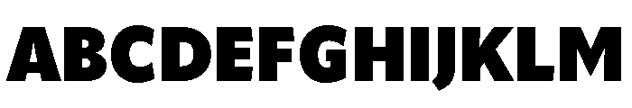 Rl Aqva Heavy Font UPPERCASE