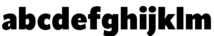Rl Aqva Heavy FONT