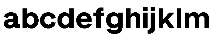 RL Gruezi Bold FONT