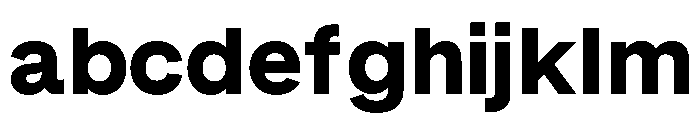 RL Gruezi ExtraBold FONT