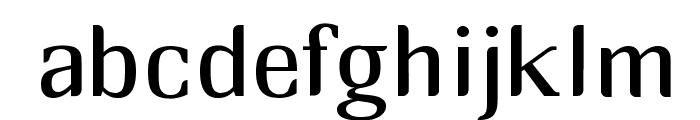 RM_midserif Font LOWERCASE