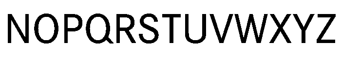 Roboto Flex Medium Font UPPERCASE