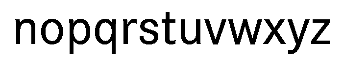 Roboto Flex Medium Font LOWERCASE