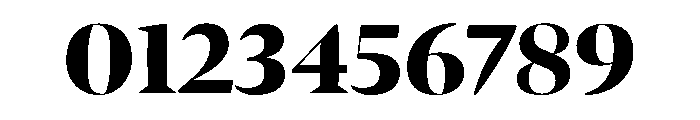 Roboto Mono Heavy Font OTHER CHARS