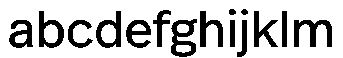 Rotunda Variable Light FONT