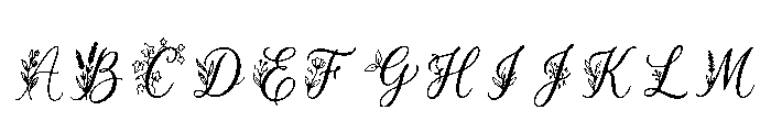 Robyn Regular FONT