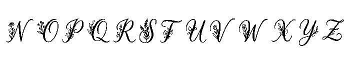 Robyn Regular Font LOWERCASE