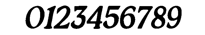 Rogesta Meadow Italic Italic Font OTHER CHARS