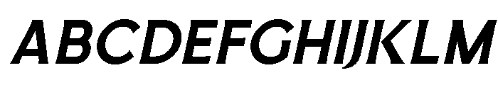 RondhoSans-Italic FONT