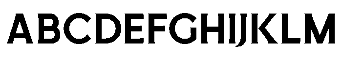 RondhoSans-Regular FONT