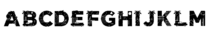 Rope Regular FONT