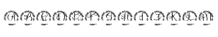 Rosaver Split Monogram FONT