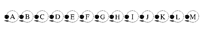 Rose Frame Monogram Font UPPERCASE