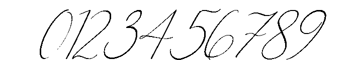 Rose Magnolia Script Font OTHER CHARS