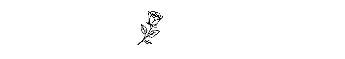 RoseFloralMonogramSuse-Reg Font OTHER CHARS