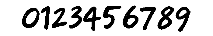 Roughberry Regular Font OTHER CHARS