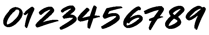 Roughley Regular Font OTHER CHARS