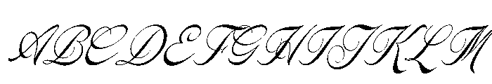 Royal Kaynin Italic Font UPPERCASE