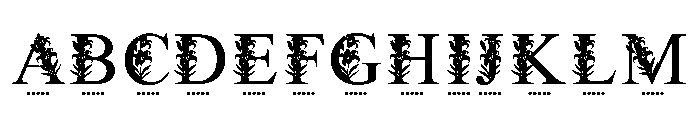 Royal Lily Floral Monogram FONT