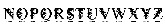 Royal Lily Floral Monogram Font LOWERCASE