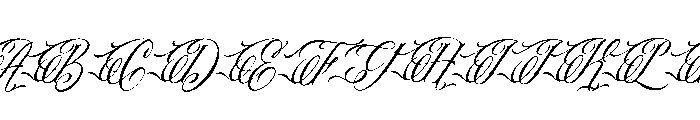 Royal Veins Italic Font UPPERCASE