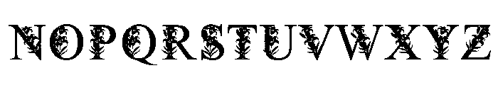 RoyalLilyFloralMonogram Font UPPERCASE